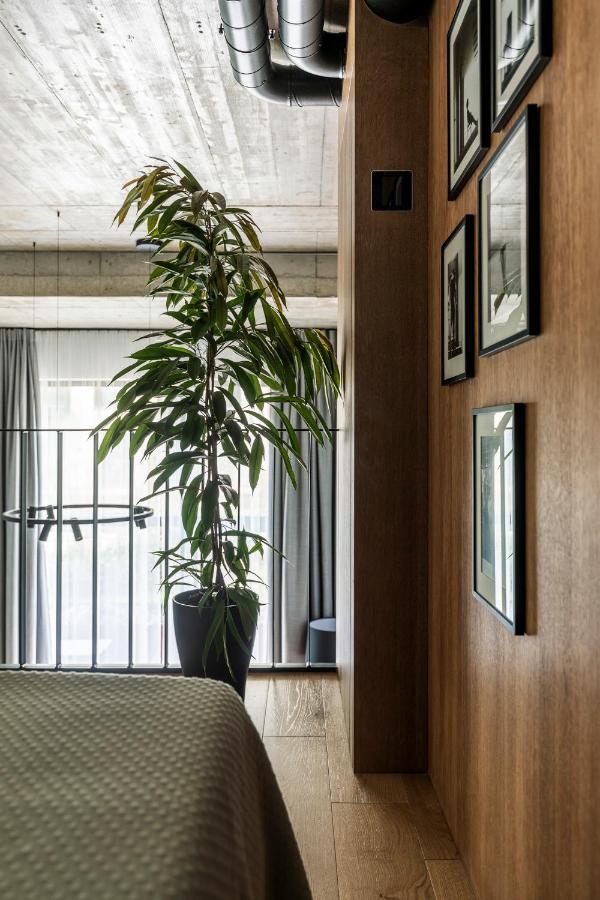 Stylish Loft With Terrace Paupys, Old Town *